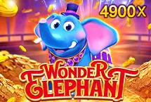 Wonder Elephant