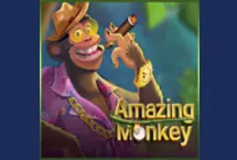 Amazing Monkey